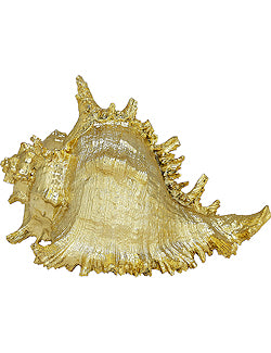 Gilded Glam Large Seashell Sets - Gold